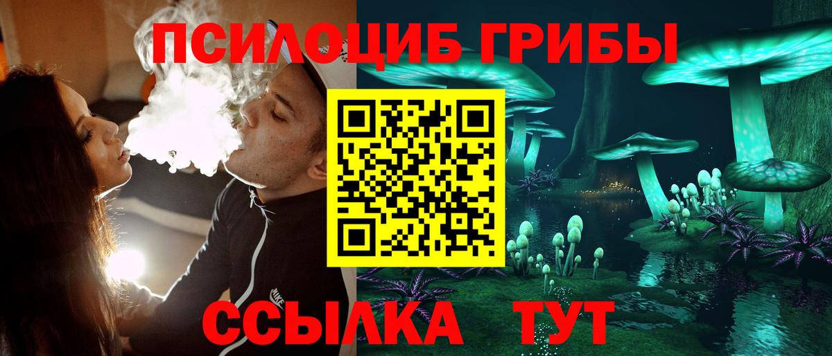 Псилоцибиновые грибы прущие грибы Надым